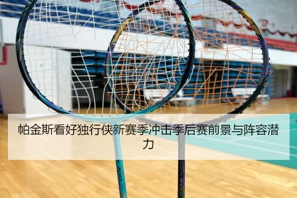 帕金斯看好独行侠新赛季冲击季后赛前景与阵容潜力